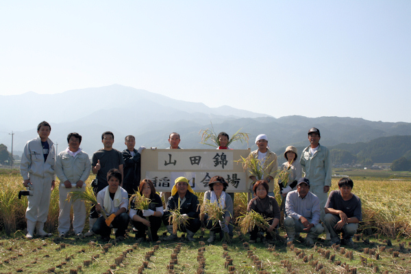 20081019寒北斗稲刈り01.jpg