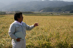 20081019寒北斗稲刈り02.jpg