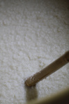 201002西の関12.jpg
