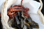 201002鍋島03.jpg