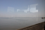 201003鍋島牡蛎01.jpg