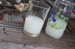 201003鍋島牡蛎05.jpg