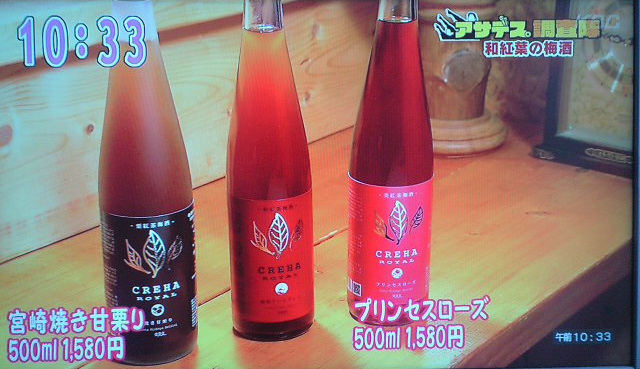 アサデス20100610.jpg