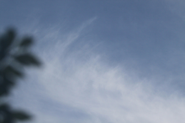 夏日201007.jpg