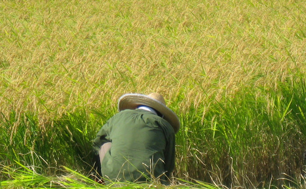 寒北斗20091000.jpg