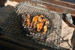寒北斗を楽しむ会20071018.jpg
