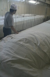 玉の井酒造20090105.jpg