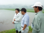 玉の井酒造田植え20080606.jpg