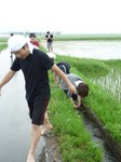 玉の井酒造田植え20080613.jpg