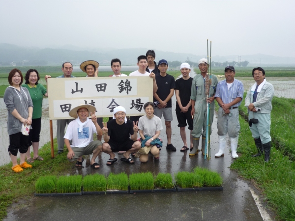 玉の井酒造田植え20080615.jpg