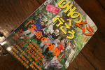九州のムラ豊潤20090602.jpg