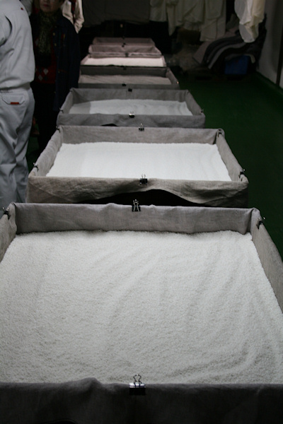 高橋商店20090211.jpg