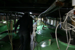 高橋商店20090216.jpg