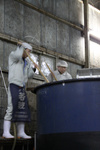 若波酒造20100106.jpg