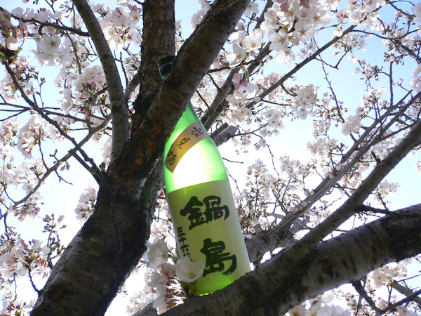 鍋島 花見酒2010.jpg
