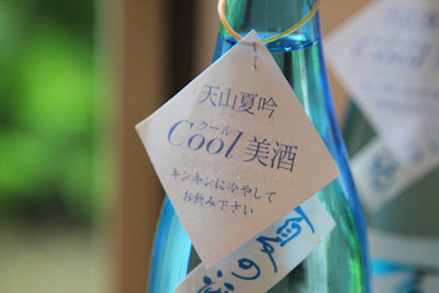 天山夏吟02.jpg