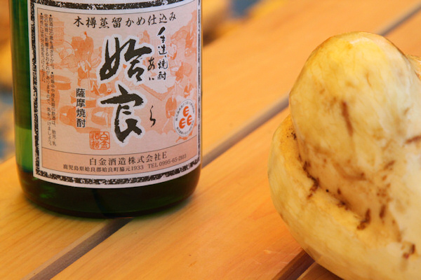 姶良201006.jpg