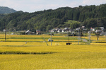 浜嶋酒造20101017.jpg
