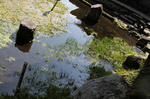 浜嶋酒造20101026.jpg