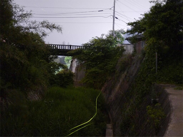蛍.jpg