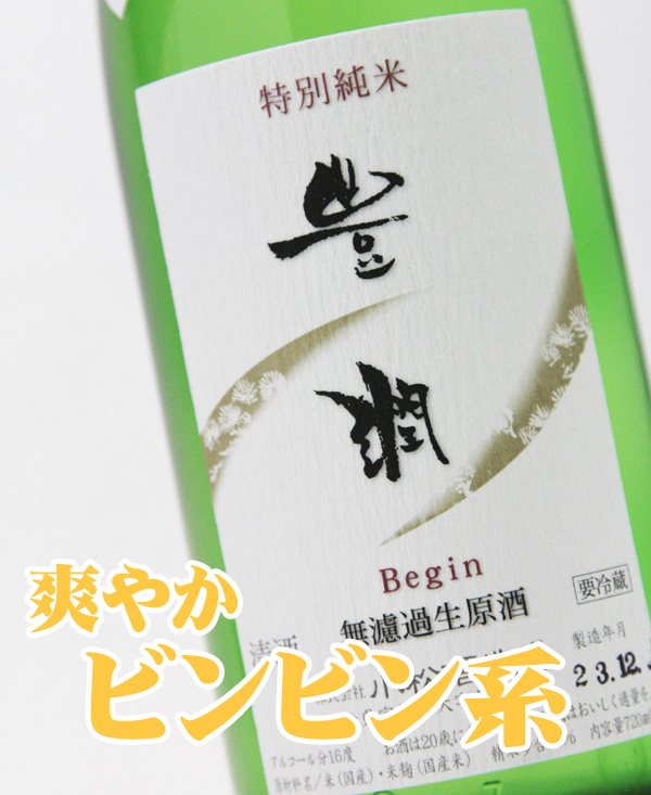 豊潤ビギン4.jpg